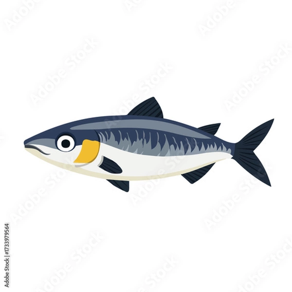 Obraz Herring, flat style 2D vector image, isolated on a white background