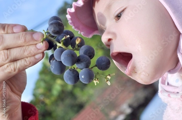 Obraz bébé et raisin