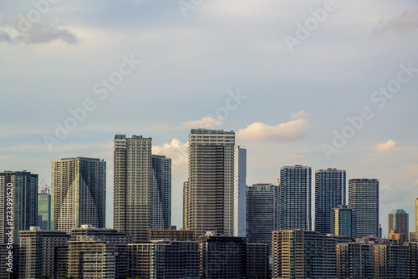 Fototapeta タワーマンションの並ぶ東京の都市風景
