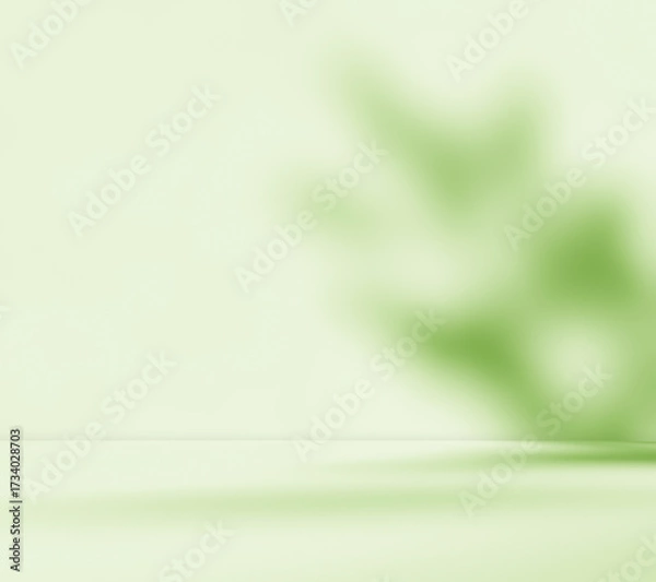 Fototapeta Empty green room studio with sunlight effect shadow of leaves. Minimal background for product presentation. Summer spring backdrop. Cosmetic and beauty products display room.
