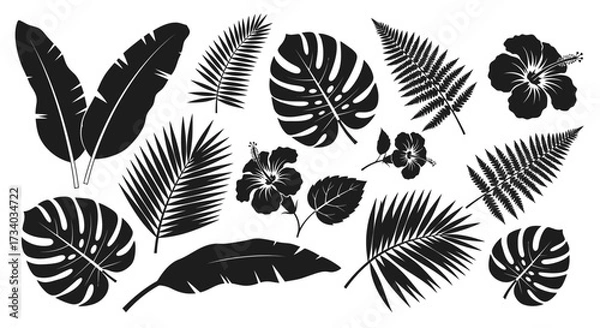 Fototapeta Elegant Tropical Silhouette Collection: Botanical Illustrations for Design Projects