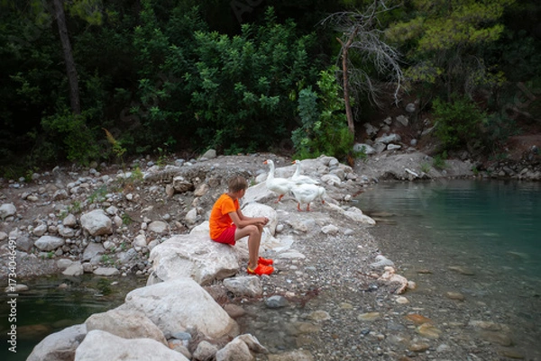 Fototapeta Child in bright shorts sitting on rocky shore by water with geese in scenic natural setting during daytime