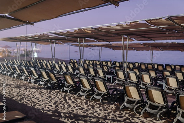 Fototapeta Rows of empty beach loungers under shade canopies on a sandy shore, facing a calm sea during early morning or evening light.