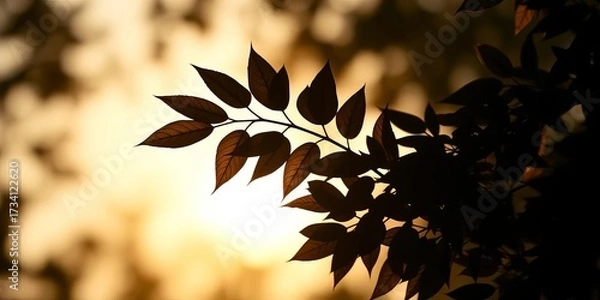 Fototapeta Silhouette of leaves forming an arrow shape, pointing upwards,  foliage,   artistic