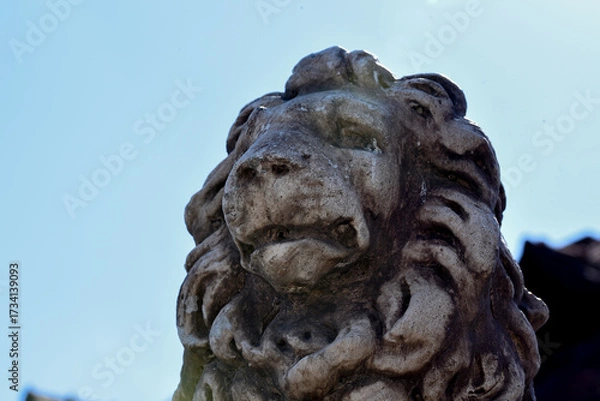 Obraz statue of lion