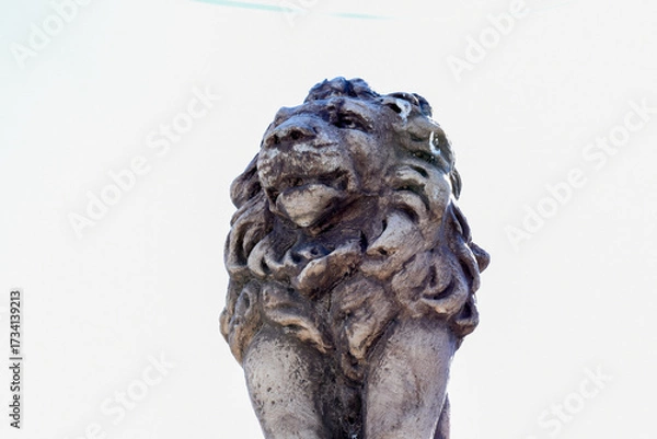 Obraz lion head statue