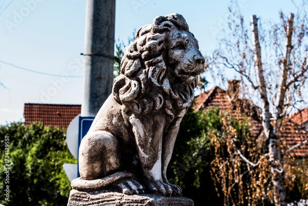 Obraz lion statue in the park