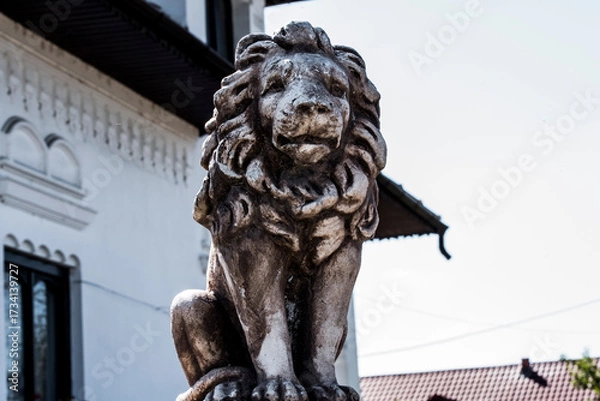 Obraz lion on the roof