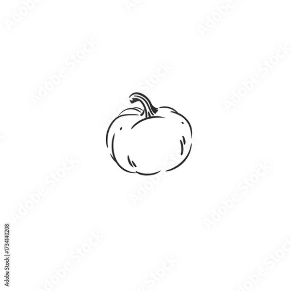Fototapeta Hand drawn abstract vector graphic illustration outline with stylized line halloween autumn pumpkin design .Trendy modern doodle sketch halloween drawing concept.Vector line nature sketch symbol.