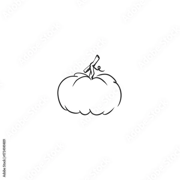 Fototapeta Hand drawn abstract vector graphic illustration outline with stylized line halloween autumn pumpkin design .Trendy modern doodle sketch halloween drawing concept.Vector line nature sketch symbol.