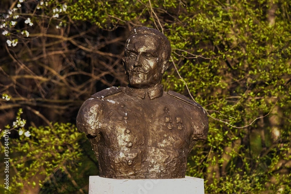 Obraz statue in the garden