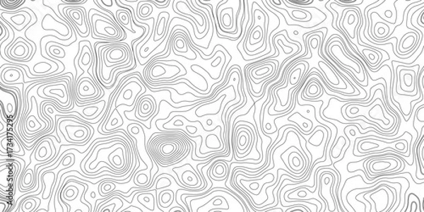 Fototapeta Topographic map background geographic line map with elevation assignments. Modern design with White background with topographic wavy pattern design.paper texture Imitation of a geographical map shades