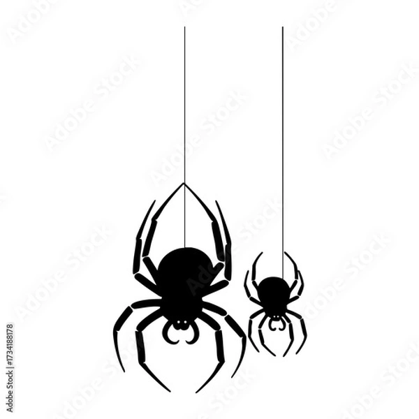Fototapeta Black silhouette of two spiders hanging and crawling isolated on transparent background