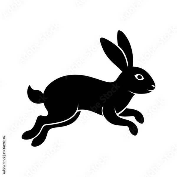 Fototapeta vector illustration of a rabbit with white background