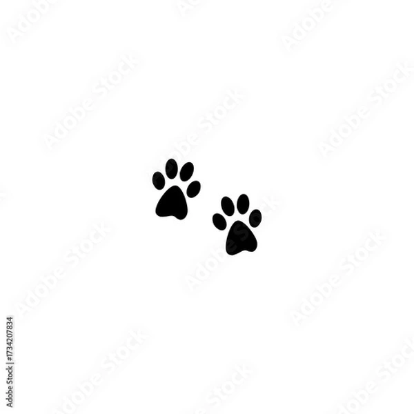 Obraz paw