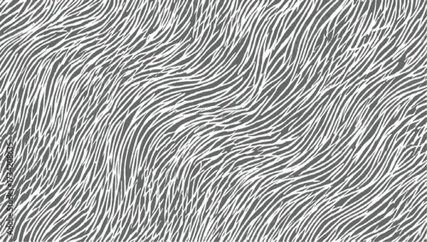 Fototapeta Abstract pattern of irregular wavy lines in gray and white creating a dynamic textured background.