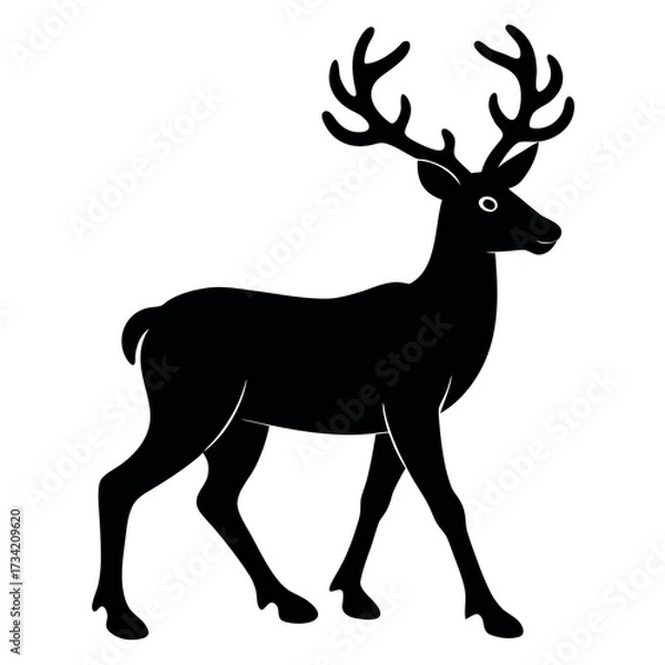 Fototapeta silhouette of deer