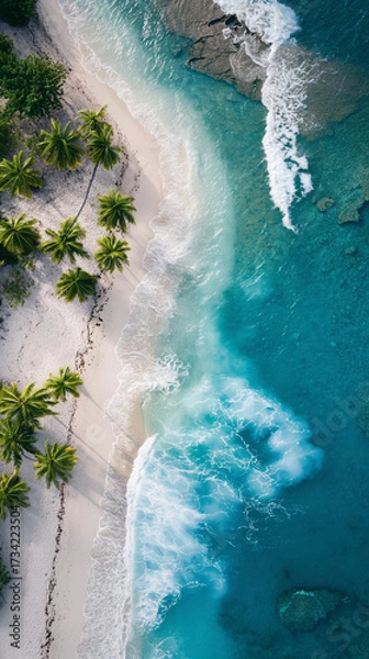 Obraz Breathtaking aerial view of tropical beach with turquoise water