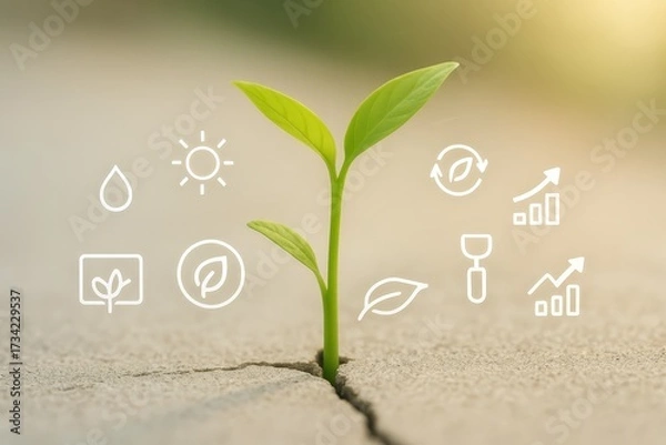 Fototapeta A vibrant young plant emerges from a crack in a solid surface, showcasing growth, renewal, and resilience, set against a soft, blurred background with subtle icons representing growth and...