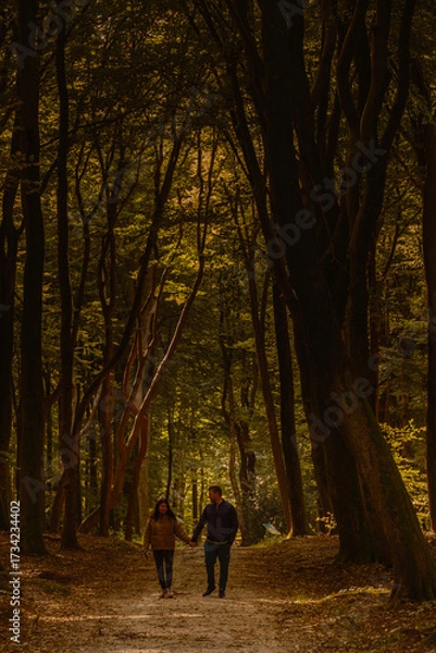 Fototapeta Couple enjoying a peaceful walk in the enchanting forests of Speulderbos during autumn. The vibrant foliage creates a warm, inviting atmosphere, perfect for a romantic outing in the Netherlands