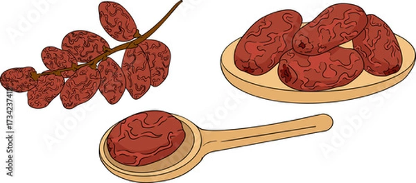 Fototapeta Detailed colored vector art of dates, showcasing dried dates. Ideal for food, culinary, or nature themed designs.