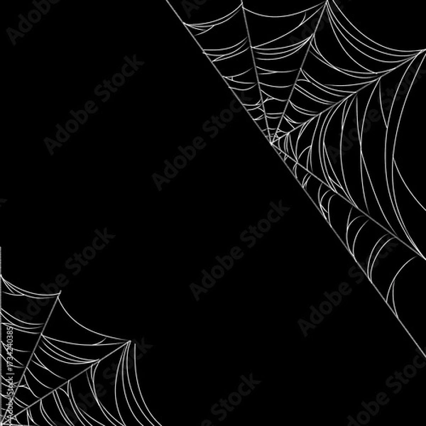 Obraz spider web on black background