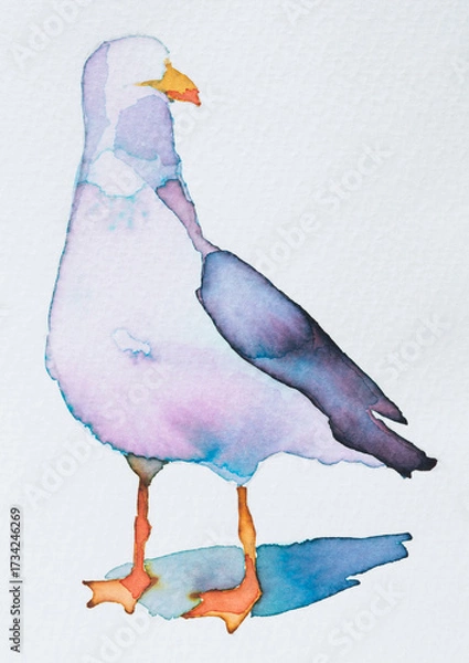 Fototapeta Colorful watercolor painting of a Larus standing gracefully with soft hues