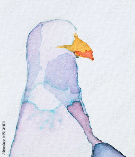 Fototapeta Beautiful watercolor painting showcasing a Larus with soft colors and gentle details