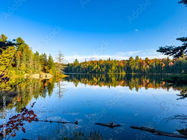 Fototapeta Fall Colours