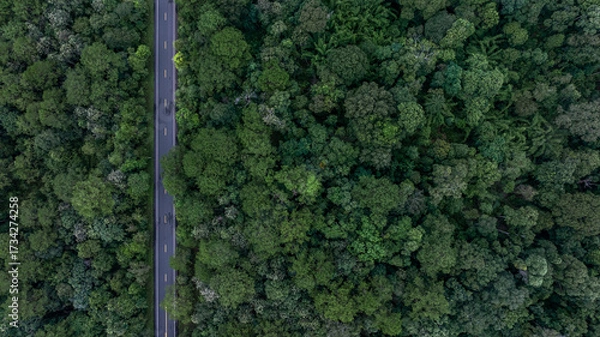 Fototapeta Aerial view road through the green tree jungle forest, Aerial view street asphalt road going through green forest, Adventure and travel ecosystem and ecology healthy environment and background.