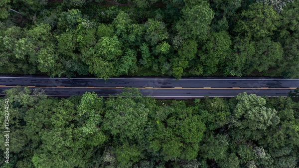 Fototapeta Aerial view road through the green tree jungle forest, Aerial view street asphalt road going through green forest, Adventure and travel ecosystem and ecology healthy environment and background.