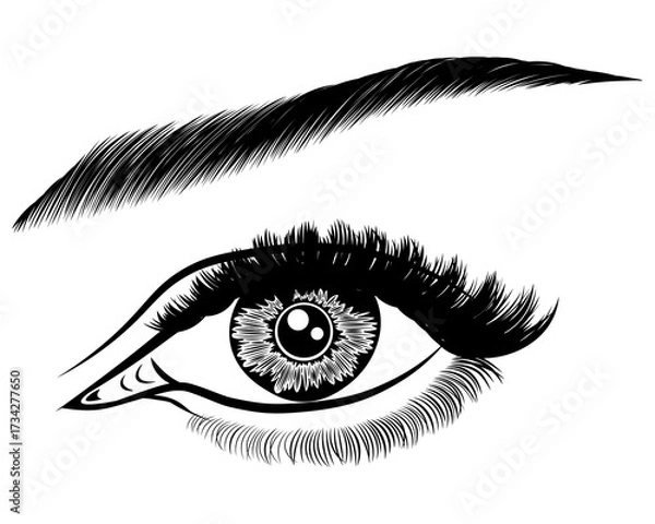 Fototapeta Illustration with woman's eye, eyelashes and eyebrow. Makeup Look. Tattoo design. Logo for brow bar or lash salon.