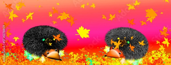 Obraz Two funny hedgehogs