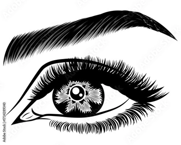 Fototapeta Illustration with woman's eye, eyelashes and eyebrow. Makeup Look. Tattoo design. Logo for brow bar or lash salon.