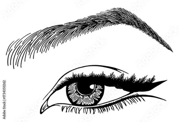 Fototapeta Illustration with woman's eye, eyelashes and eyebrow. Makeup Look. Tattoo design. Logo for brow bar or lash salon.