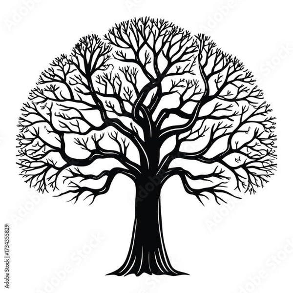 Obraz Vector art of a bare tree silhouette