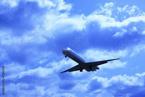 Fototapeta 飛行機