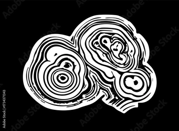 Fototapeta Abstract Black and White Geode Slice Illustration Showing Concentric Circular Layers