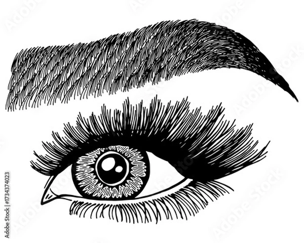 Fototapeta Illustration with woman's eye, eyelashes and eyebrow. Makeup Look. Tattoo design. Logo for brow bar or lash salon.