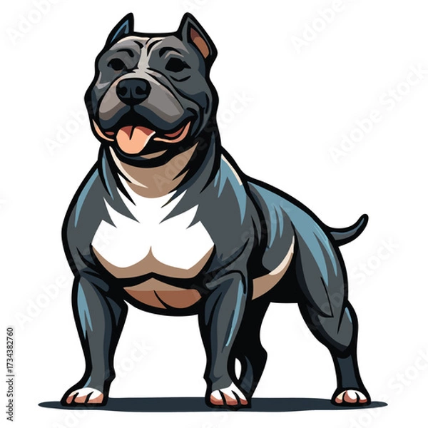 Fototapeta Muscular blue pitbull stands confidently with a determined expression against the white background in a style
