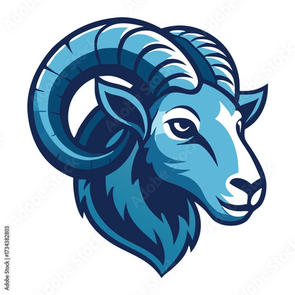 Fototapeta Majestic blue ram head boldly stares forward with its impressive, spiraling horns displayed