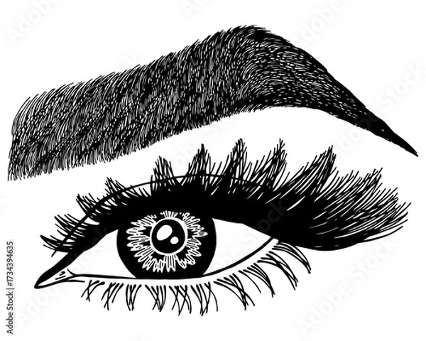 Fototapeta Illustration with woman's eye, eyelashes and eyebrow. Makeup Look. Tattoo design. Logo for brow bar or lash salon.