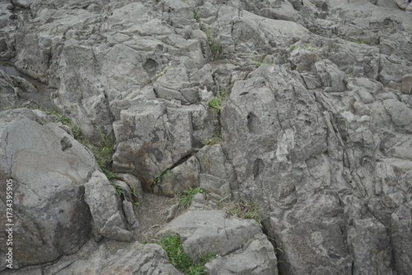 Fototapeta 福井県 東尋坊から見る絶景の景色