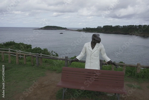 Fototapeta 福井県 東尋坊から見る絶景の景色