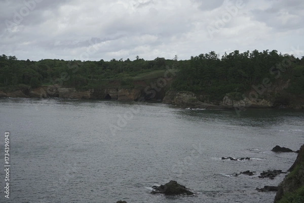 Fototapeta 福井県 東尋坊から見る絶景の景色
