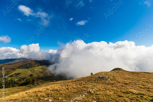 Obraz Cansiglio plateau