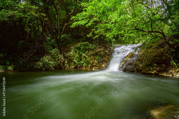 Obraz Parc naturel volcanique de la Garrotxa