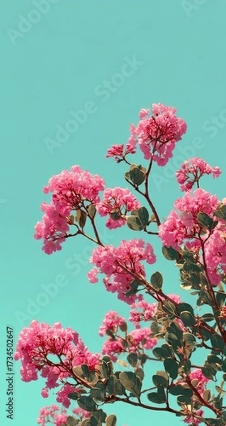 Obraz Pink flowers bloom against light teal sky