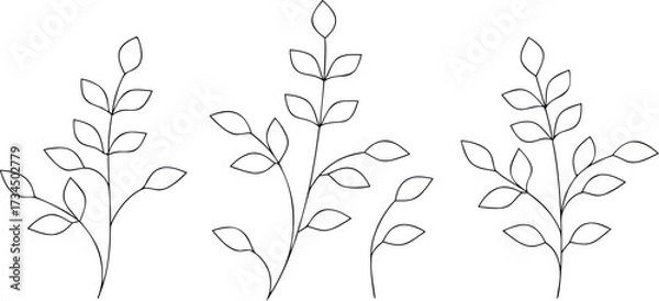Obraz Black and white floral vector pattern illustration for vintage spring and summer decoration