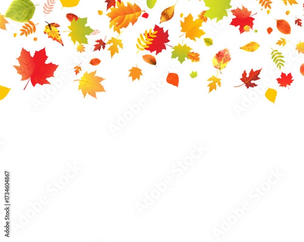 Fototapeta Autumn Border With Colorful Leaves